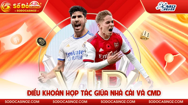 Điều khoản hợp tác giữa nhà cái và CMD