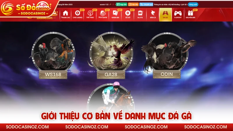 Giới thiệu cơ bản về danh mục đá gà