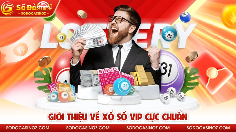 Giới thiệu về xổ số VIP cực chuẩn