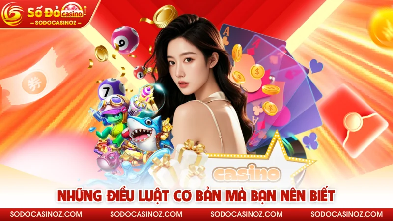 Những điều luật cơ bản mà bạn nên biết