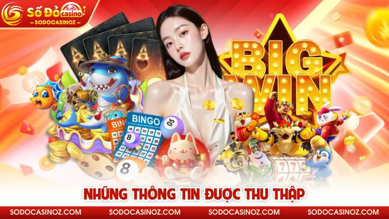 Những thông tin được thu thập