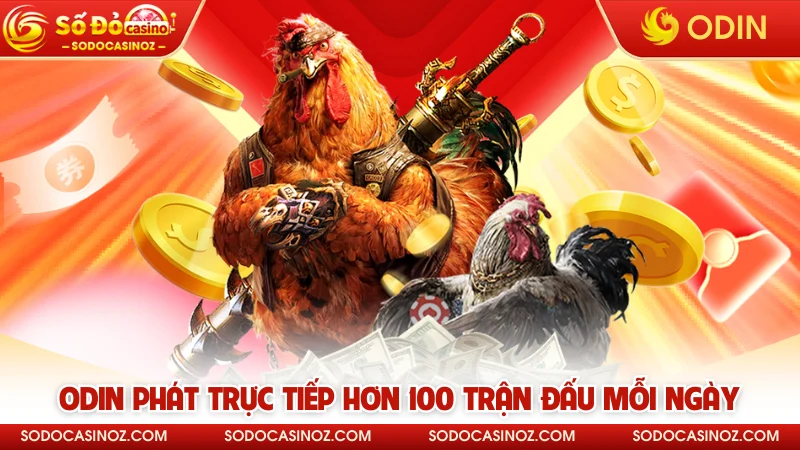 ODIN phát trực tiếp hơn 100 trận đấu mỗi ngày