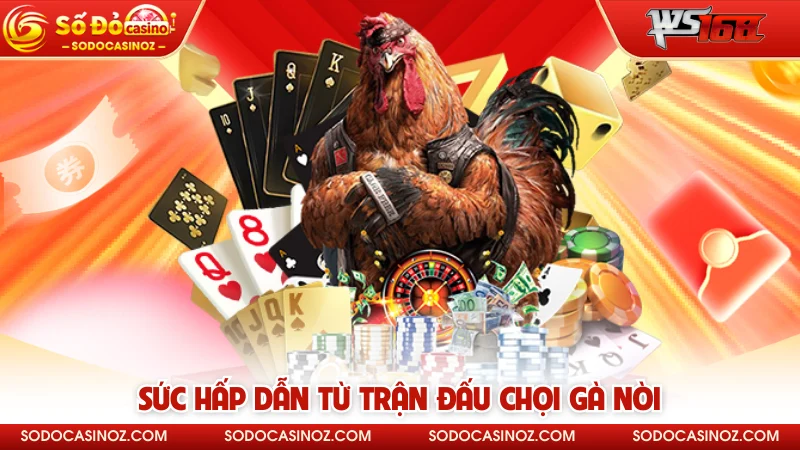 Sức hấp dẫn từ trận đấu chọi gà nòi