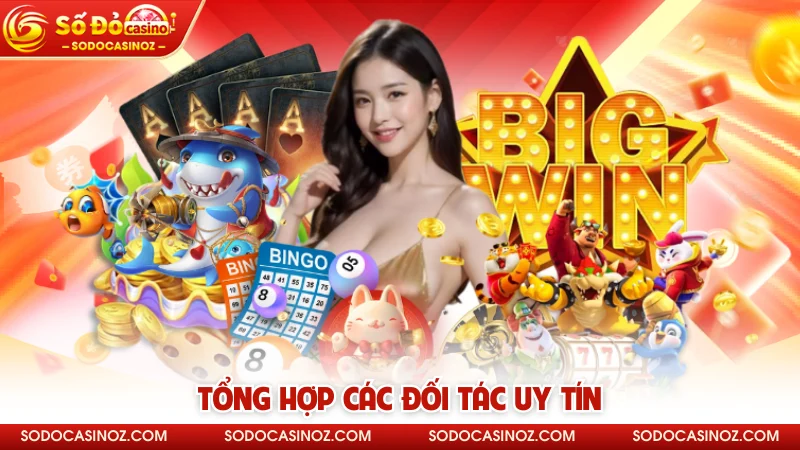 Tổng hợp các đối tác uy tín