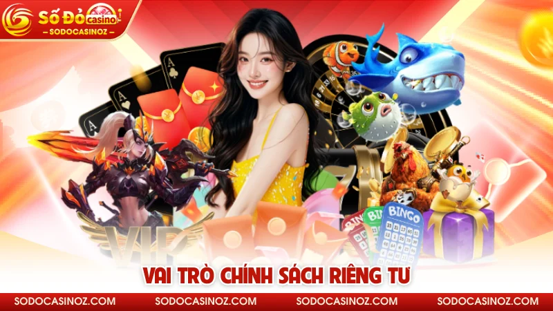 Vai trò chính sách riêng tư